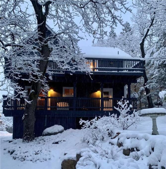 Charming Getaway Cabin Lake Arrowhead Extérieur photo